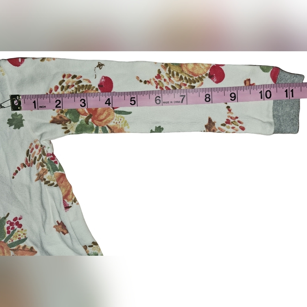 Burt's Bees Kids Boy Girl Thanksgiving Celebration Organic 2pc PJ Set Sz 3T - Picture 6 of 16
